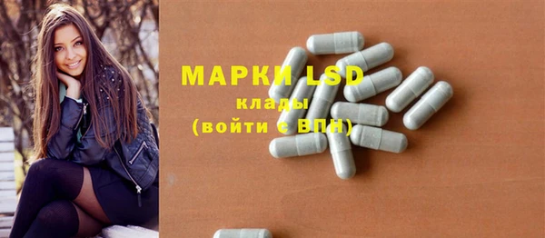 PSILOCYBIN Алзамай