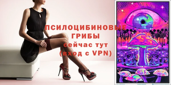 PSILOCYBIN Алзамай