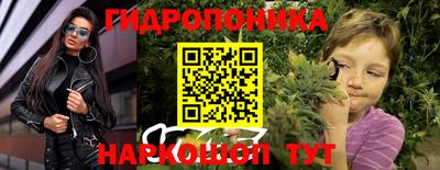 spice Брянск