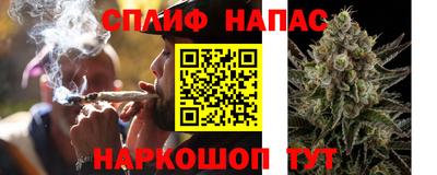 spice Брянск