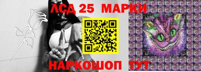 spice Брянск