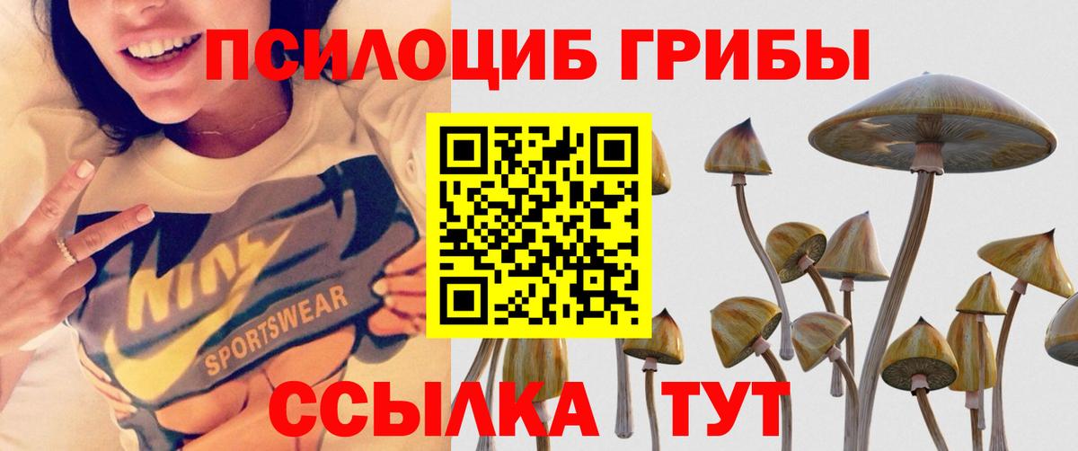 Белорецк  Псилоцибиновые грибы ЛСД  где найти наркотики  Вход с VPN 